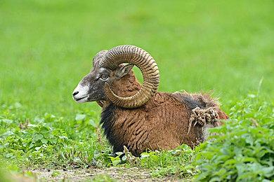 《传送门》开发商阐明态度 MOD制作者理应获得更好待遇