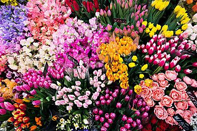 《极品飞车：不羁》“接管事件”预告片及截图分享